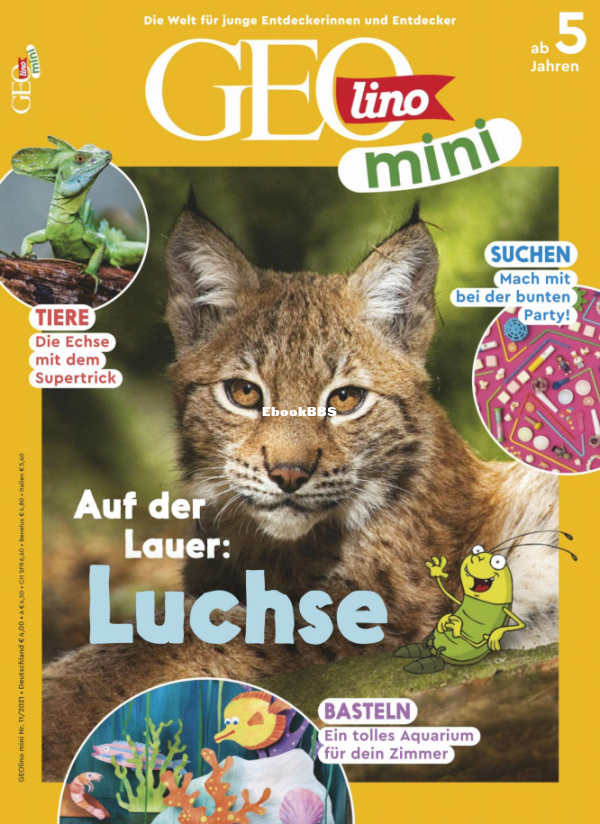 GEOmini_11.21 - 1.png