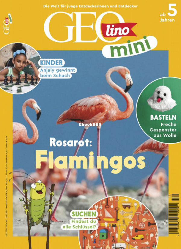 GEOmini_12.21 - 1.png