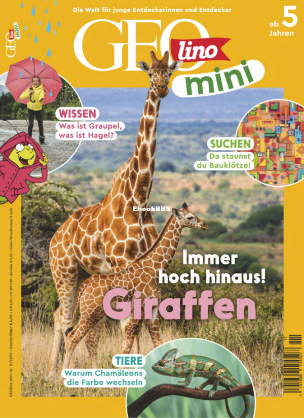 GEOmini_11.22 - 1.png