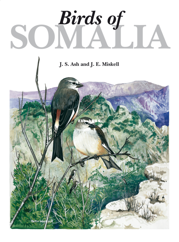 Birds of Somalia (John AshJohn Miskell) - 1.png