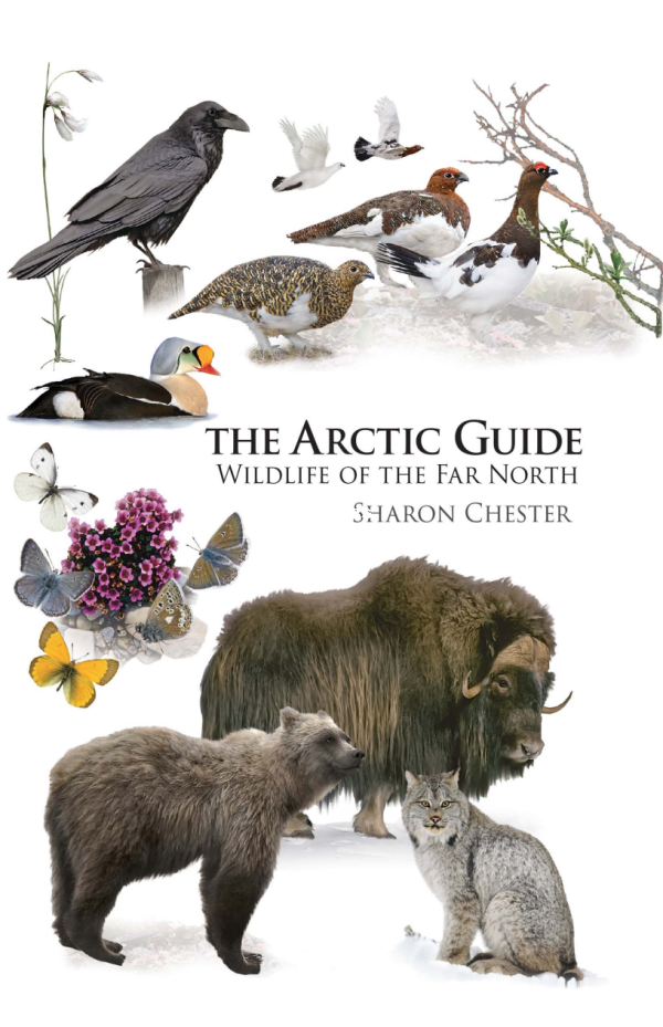 The Arctic Guide  Wildlife of the Far North (Sharon Chester) - 1.png