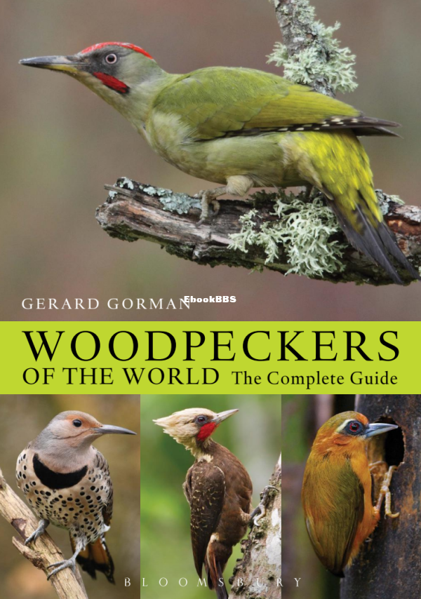 Woodpeckers of the world - 1.png