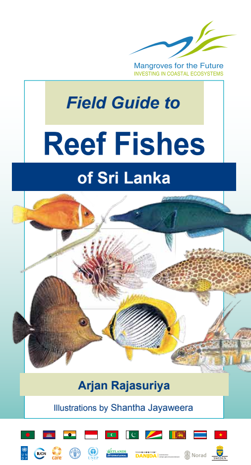 Reef-fishes-of Sri Lanka - 1.png