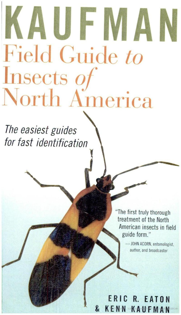 kaufman-field-guide-to-insects-of-north-america - 1.png