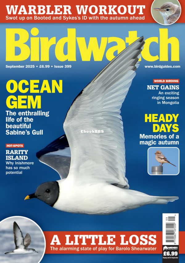 Birdwatch_UK_-_September_2025 - 1.png