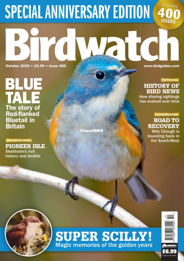 Birdwatch_UK_-_October_2025 - 1.png