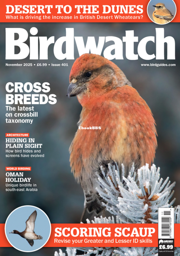 Birdwatch_UK_-_November_2025 - 1.png