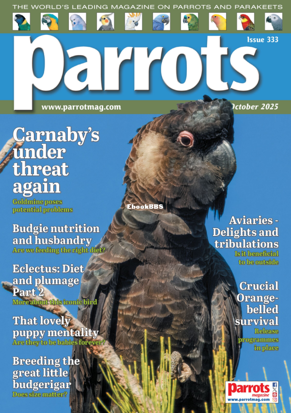 Parrots_-_October_2025 - 1.png