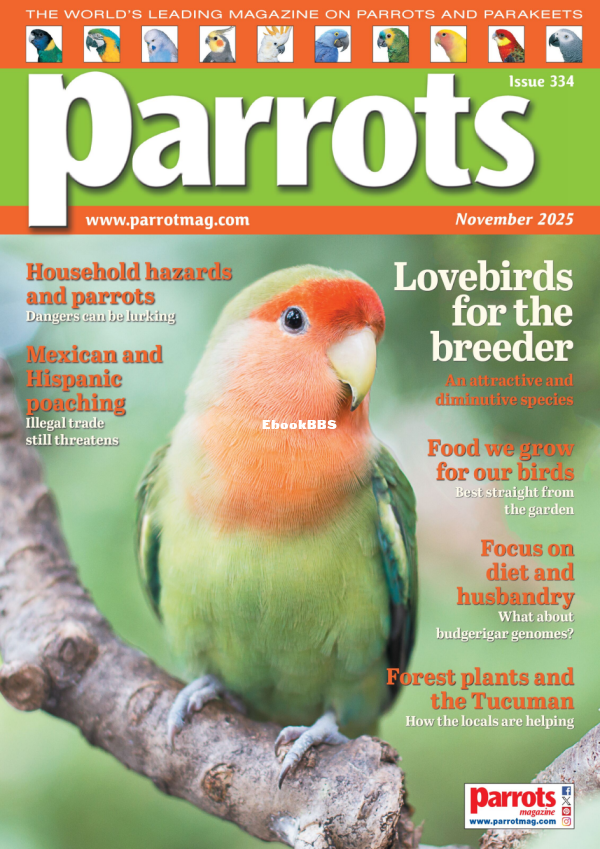 Parrots_-_November_2025 - 1.png