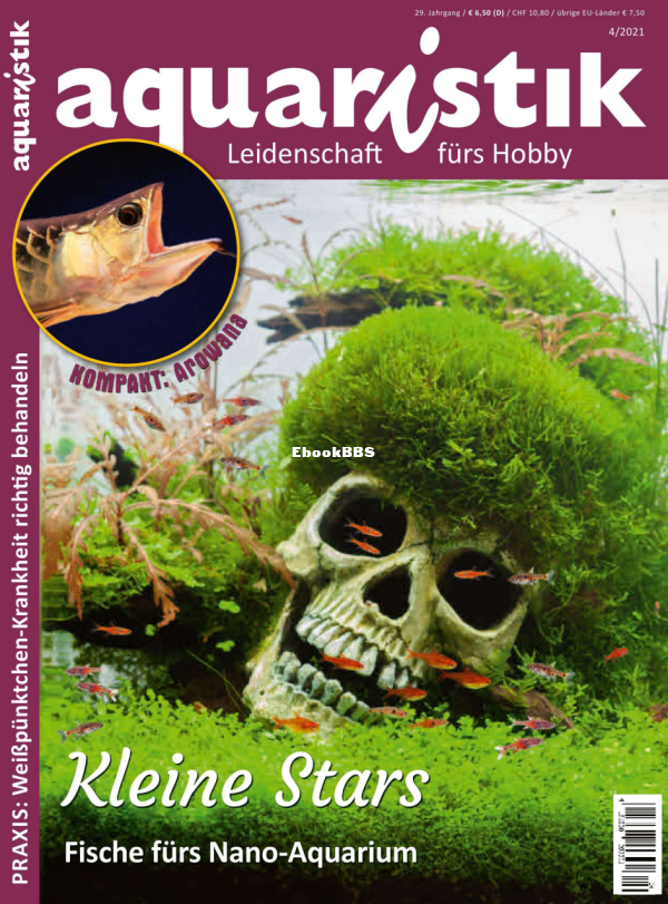 aquaristik_4.21 - 1.png