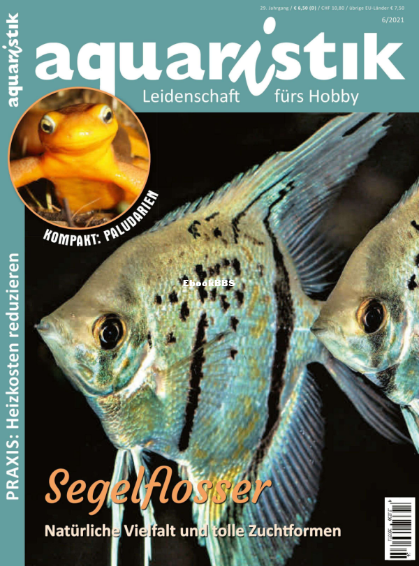 aquaristik_6.21 - 1.png