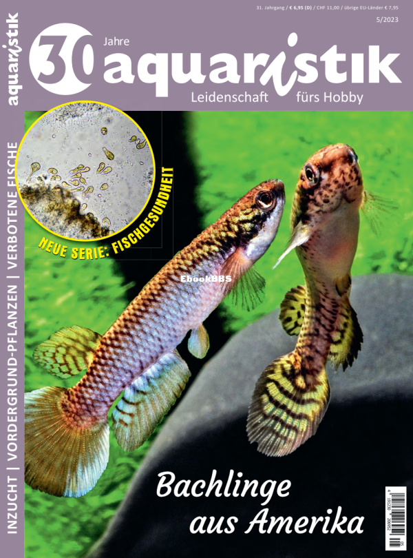 Aquaristik_5.23 - 1.png