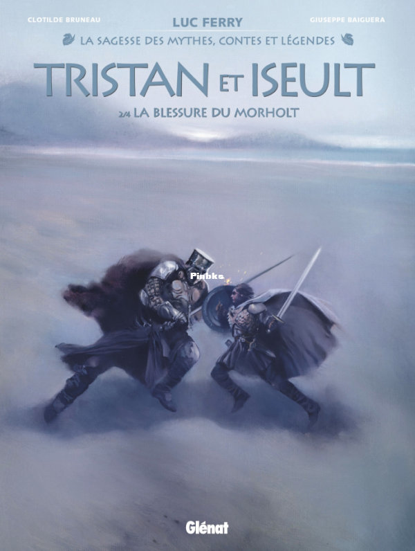 Tristan_amp_amp_Iseult_T02_La_Blessure_du_Morholt - 1.png