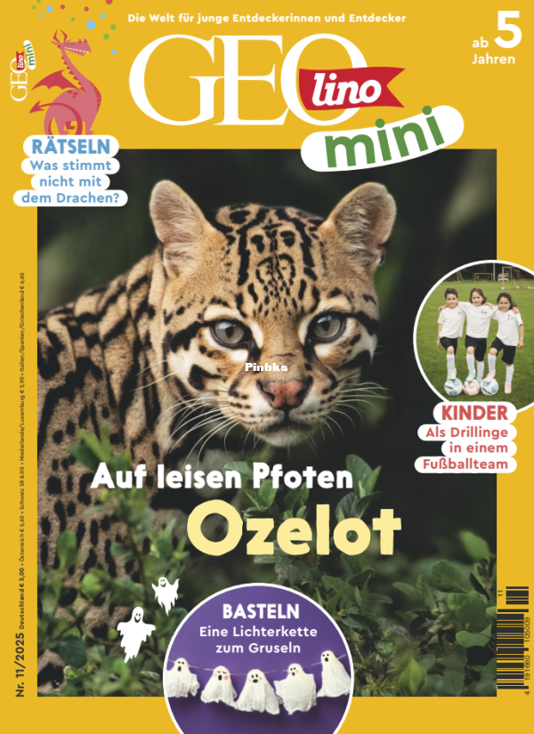 Geolino_Mini_11.25 - 1.png