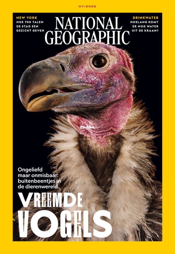 National Geographic Netherlands -july 2025 - 1.png