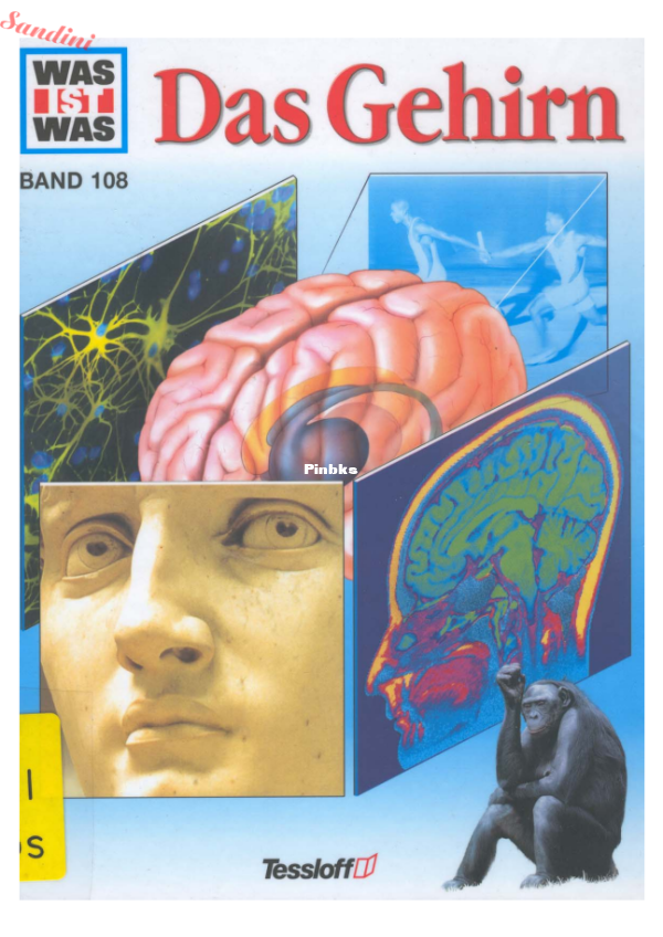 108.was-ist-was-bd108-das-gehirn_compress - 1.png