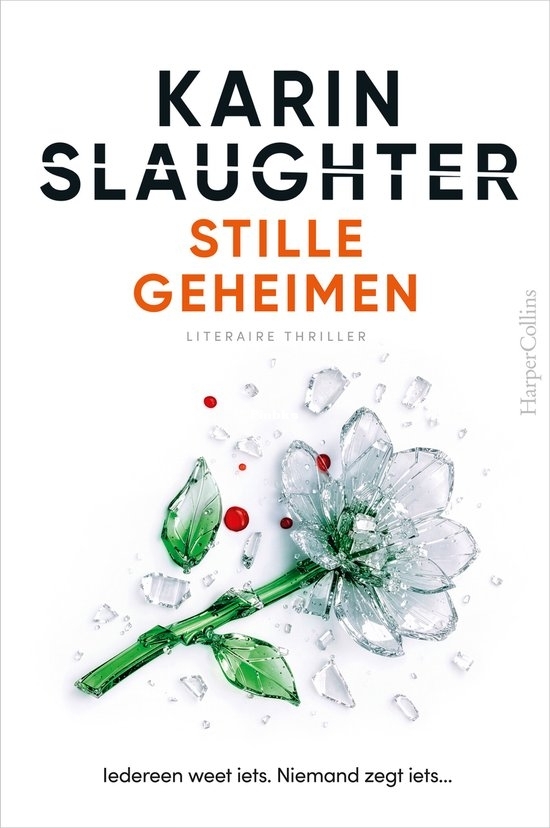 Stille Geheimen - Karin Slaughter - Dutch