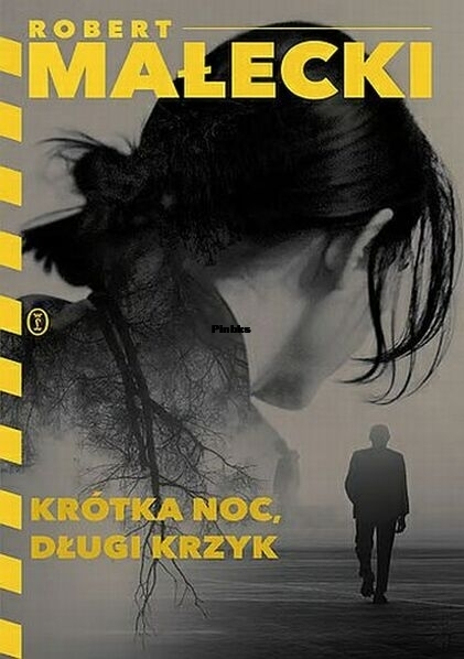 Krótka noc, długi krzyk.jpg