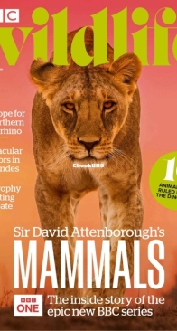 BBC Wildlife 2024 04 - English