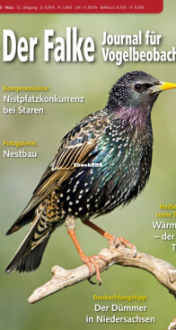Der Falke – 03.2025 - German