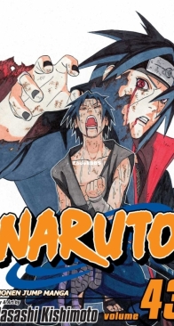 Naruto Colored 43 (of 72) - Viz 2009 - Masashi Kishimoto - English