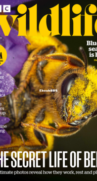 BBC Wildlife 2022 04 - English