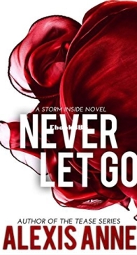 Never Let Go - The Storm Inside 4 - Alexis Anne - English