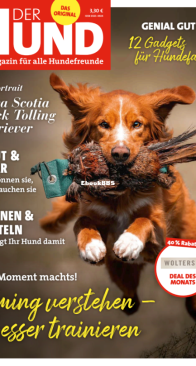 Der Hund - 11.2021 - German