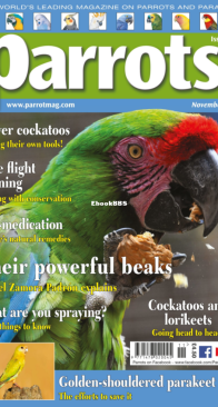 Parrots - Issue 286 - 11.2021 - English