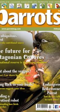 Parrots - Issue 289 - 02.2022 - English
