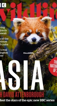 BBC Wildlife 2024 13 - English
