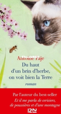 Du Haut D'Un Brin D'Herbe, On Voit Bien La Terre - Antoine Paje - French