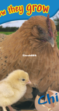 Chick - DK See How They Grow -  Angela Royston - English