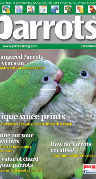 Parrots - Issue 311 - 12.2023 - English
