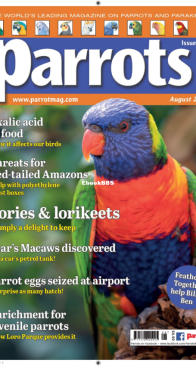 Parrots - Issue 307 - 08.2023 - English