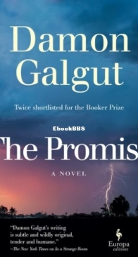 The Promise - Damon Galgut - English