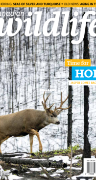 Canadian Wildlife 03-04. 2025 - English