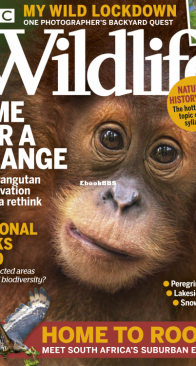 BBC Wildlife 2021 04 - English