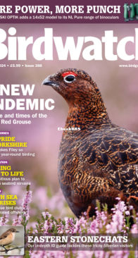 Birdwatch UK - Issue 388 - 10.2024 - English