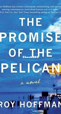 The Promise of the Pelican - Roy Hoffman - English