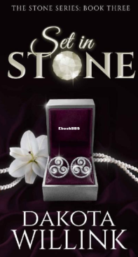 Set In Stone - The Stone 03 - Dakota Willink - English