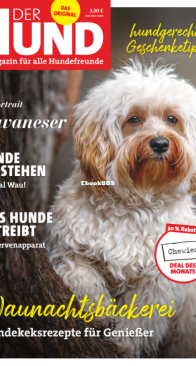 Der Hund - 12.2021 - German