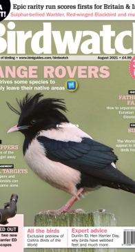Birdwatch UK - Issue 348 - 08.2021 - English