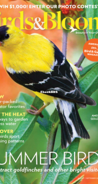 Birds and Blooms - 08-09.2019 - English