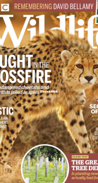 BBC Wildlife 2020 02 - English