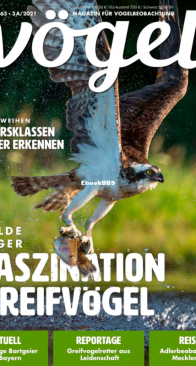 Vögel - Issue 63 – 3a.2021 - German