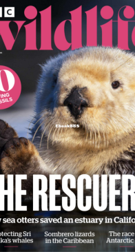 BBC Wildlife 2025 05 - English