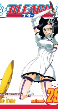 Bleach Colored 29 (of 74) - Viz 2009 - Tite Kubo - English