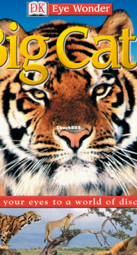 Big Cats - DK Eye Wonder -  Sarah Walker - English