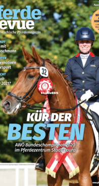 Pferderevue 11.2020 - German